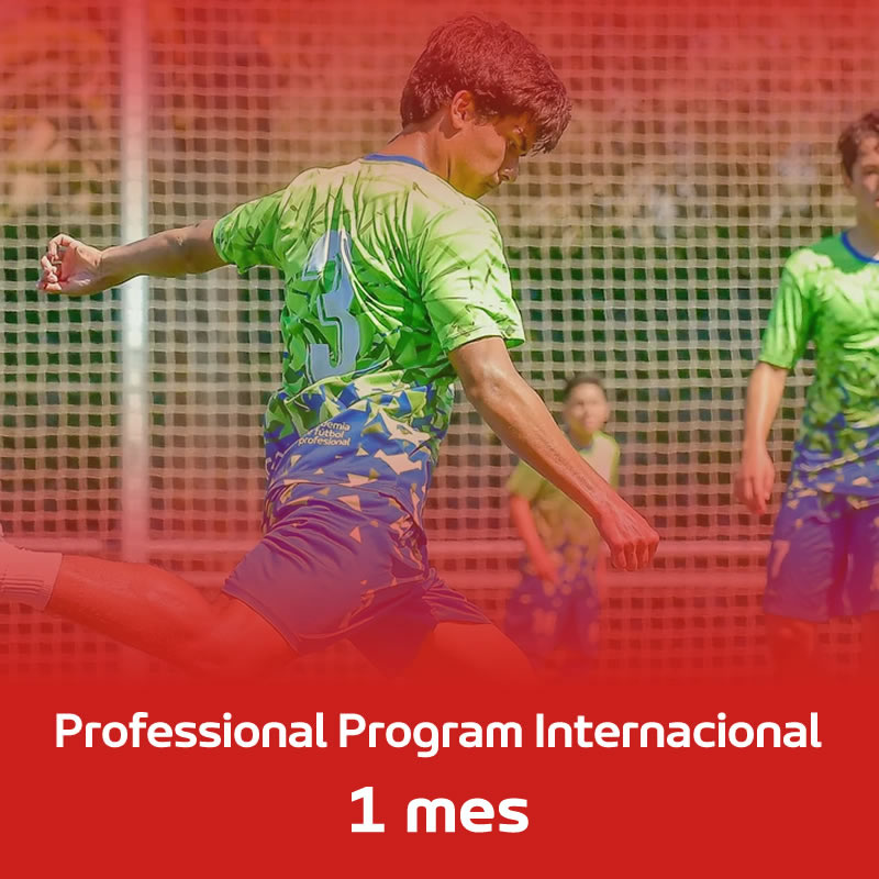 Banner Professional Program Internacional 1 mes Pago 2